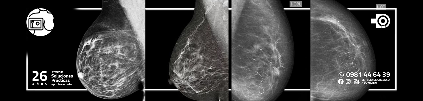 servicios - banner MAMO 2